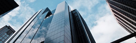 The Blau & Berg Company: Portfolio